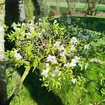 Nature Gould'oie Zen Saint-Andre-Goule-d'Oie