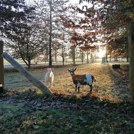Nature Gould'oie Zen * Saint-Andre-Goule-d'Oie