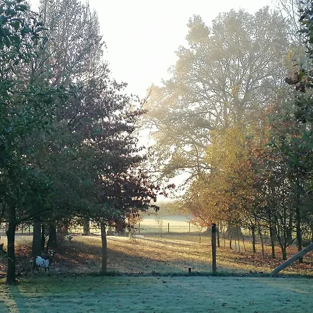 住宿加早餐酒店 Nature Gould'oie Zen Saint-Andre-Goule-d'Oie