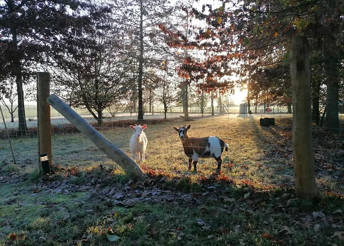 Nature Gould'oie Zen * Saint-Andre-Goule-d'Oie