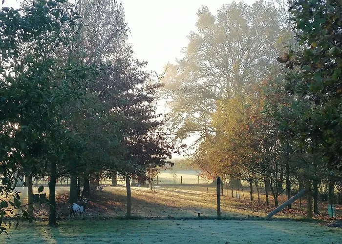 Bed & Breakfast Nature Gould'oie Zen Saint-Andre-Goule-d'Oie