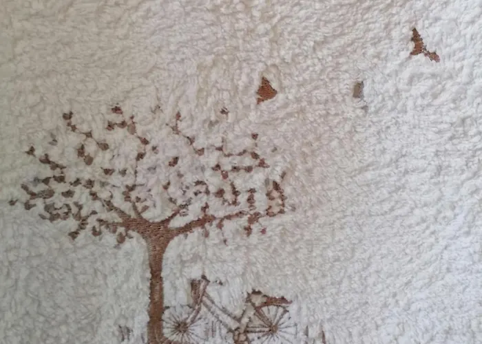 Nature Gould'oie Zen