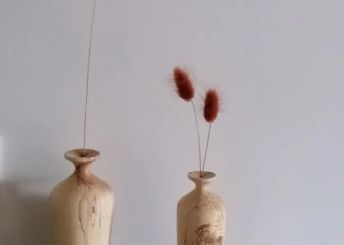 Nature Gould'oie Zen