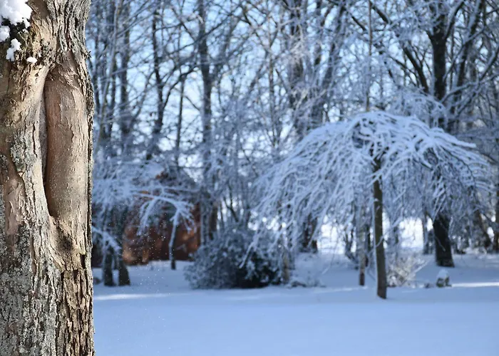 Bed & Breakfast Nature Gould'oie Zen Saint-Andre-Goule-d'Oie