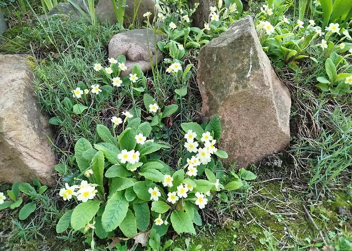 Frühstückspension Nature Gould'oie Zen *